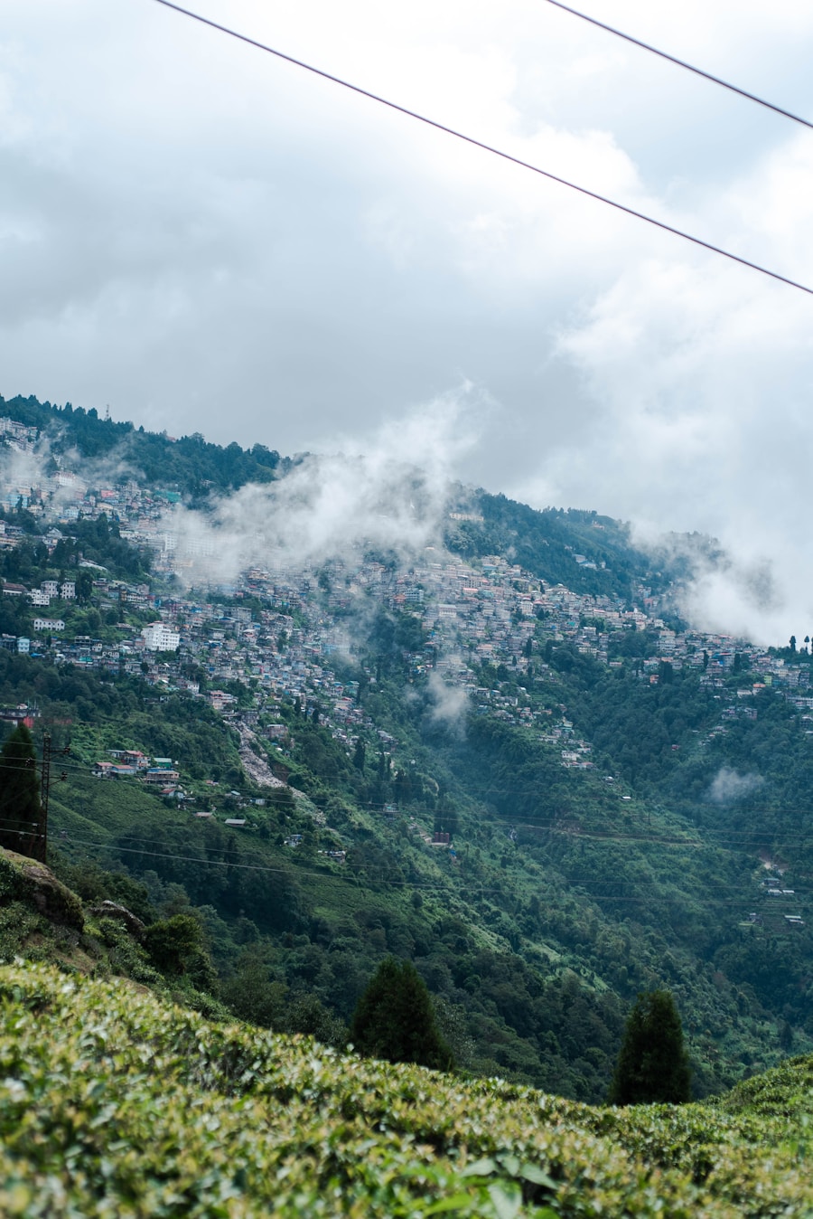 Misty layered mountain ranges seen from a tea garden in Darjeeling